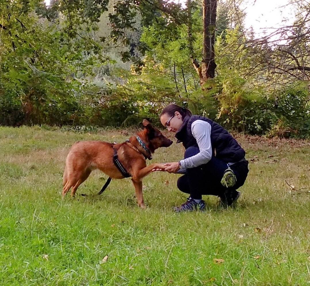 Hund im Garten