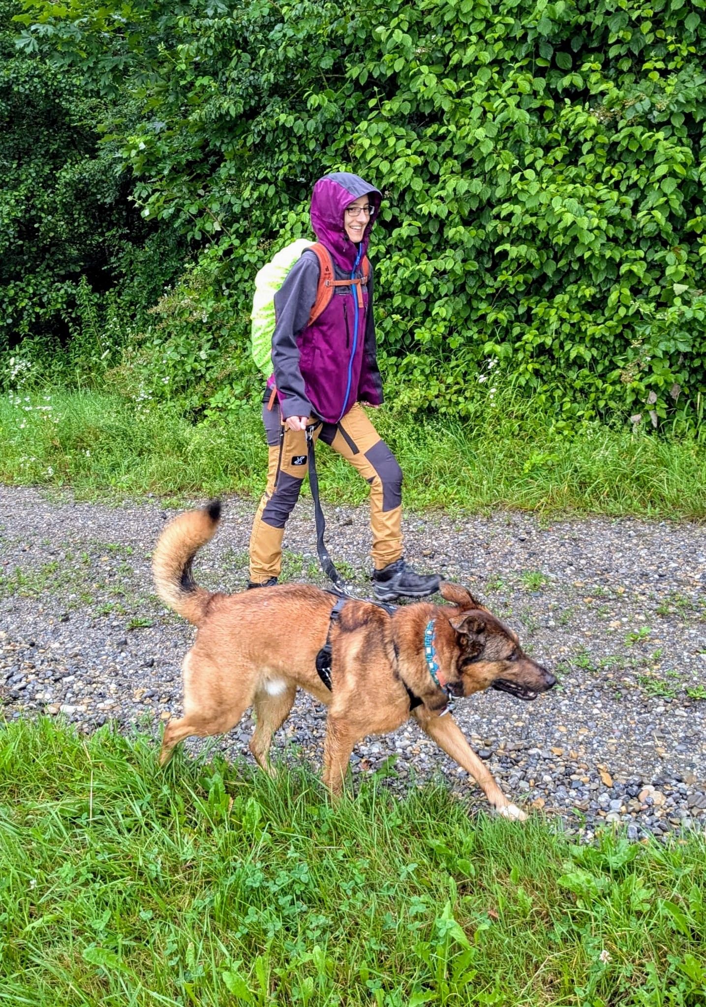 Spaziergang im Park