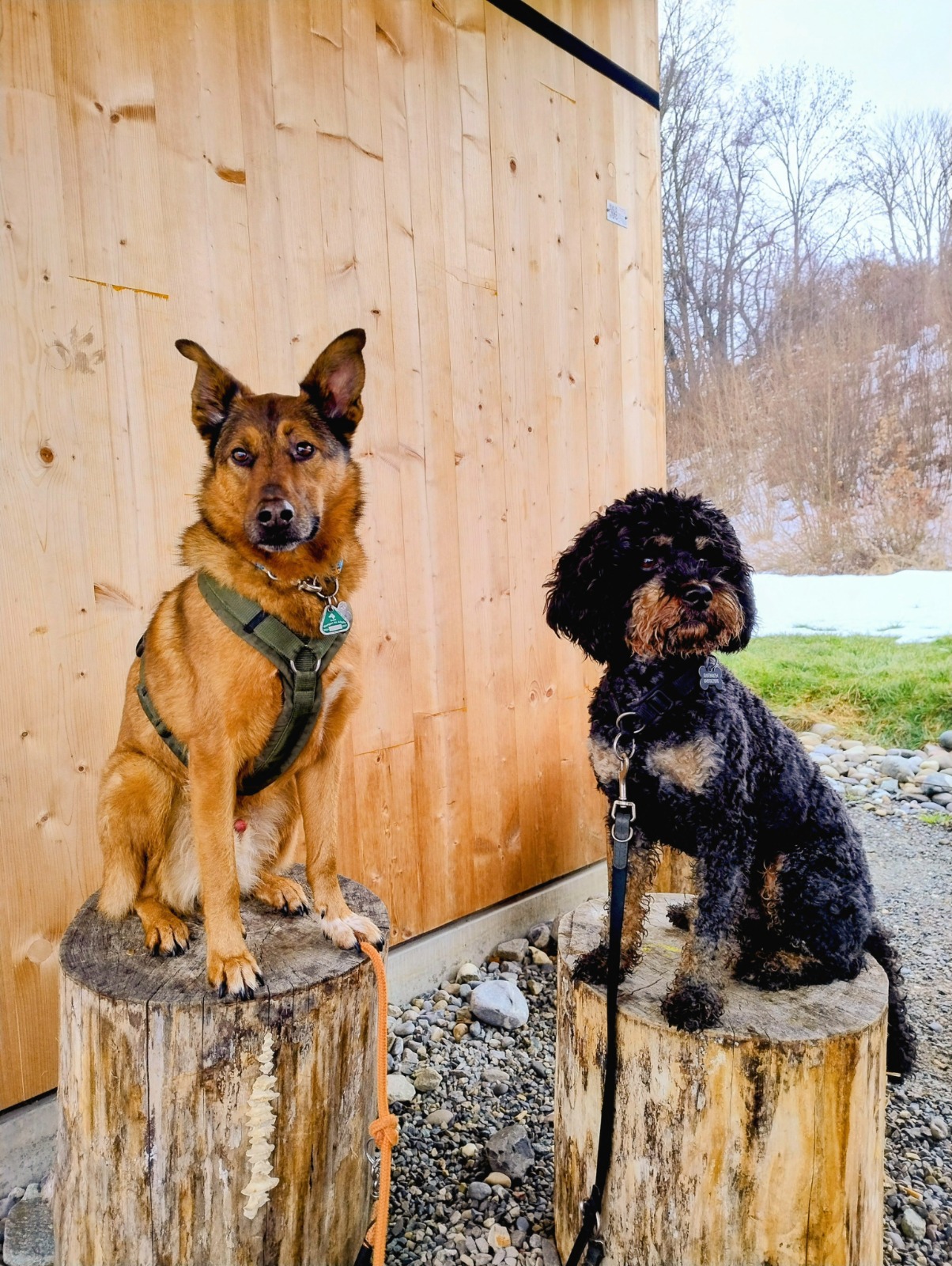 Gl&uuml;ckliche Momente