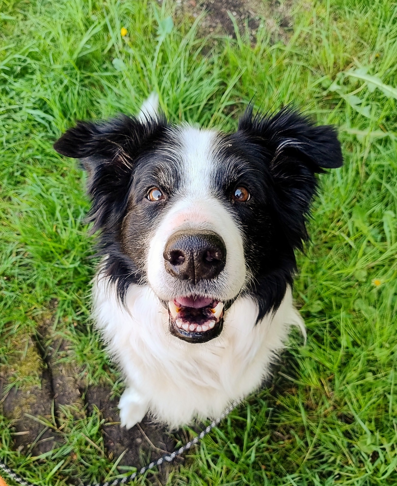 Liebevolle Betreuung